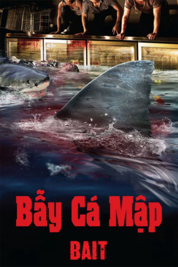 Bẫy Cá Mập (Bait) [2013]