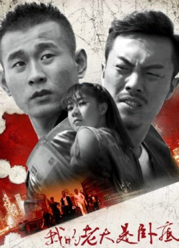 Đại ca của tôi là dân nằm vùng (My Leader Is Undercover) [2017]