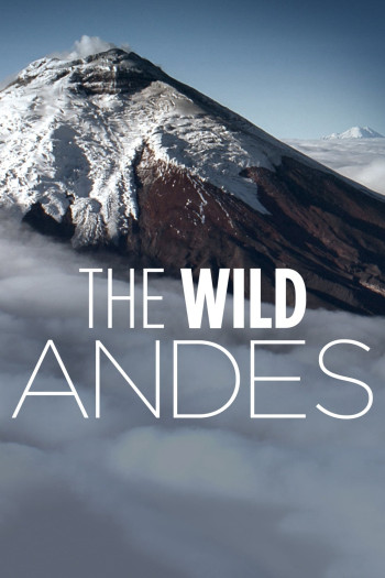 The Wild Andes (The Wild Andes) [2018]